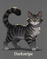 Darkstripe - dark gray tabby ThunderClan traitor